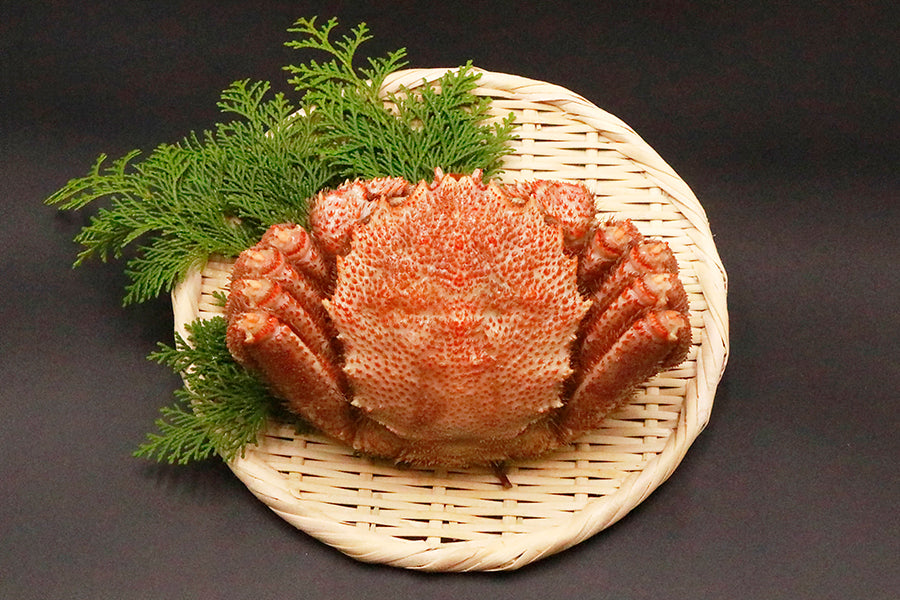 Kinsen “Tondo” 5-piece seafood set (also for New Year’s!)