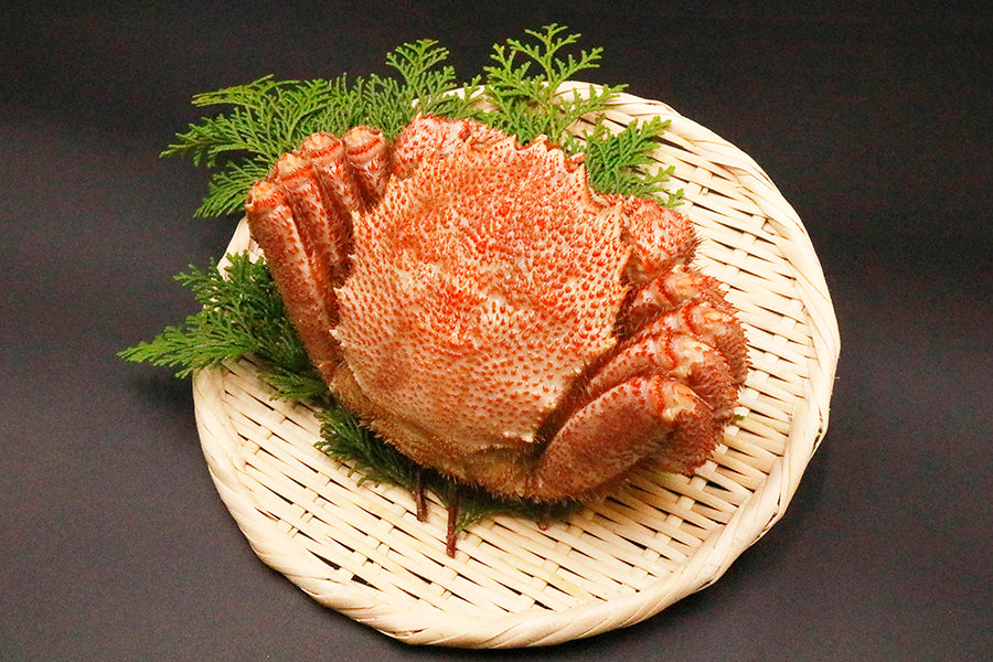 Boiled hair crab 500g x 2 cups (approx. 1kg)