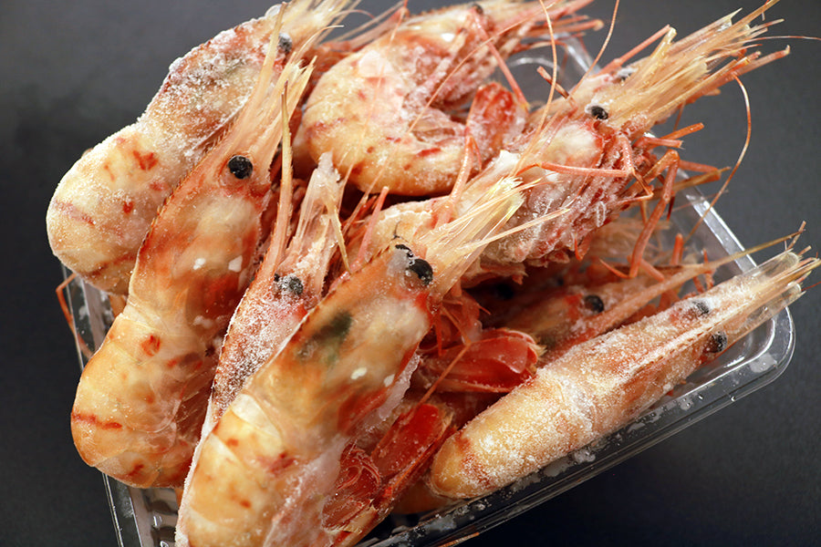 Botan shrimp 500g x 1 pack 14 to 16 fish [Also great as a gift! ]
