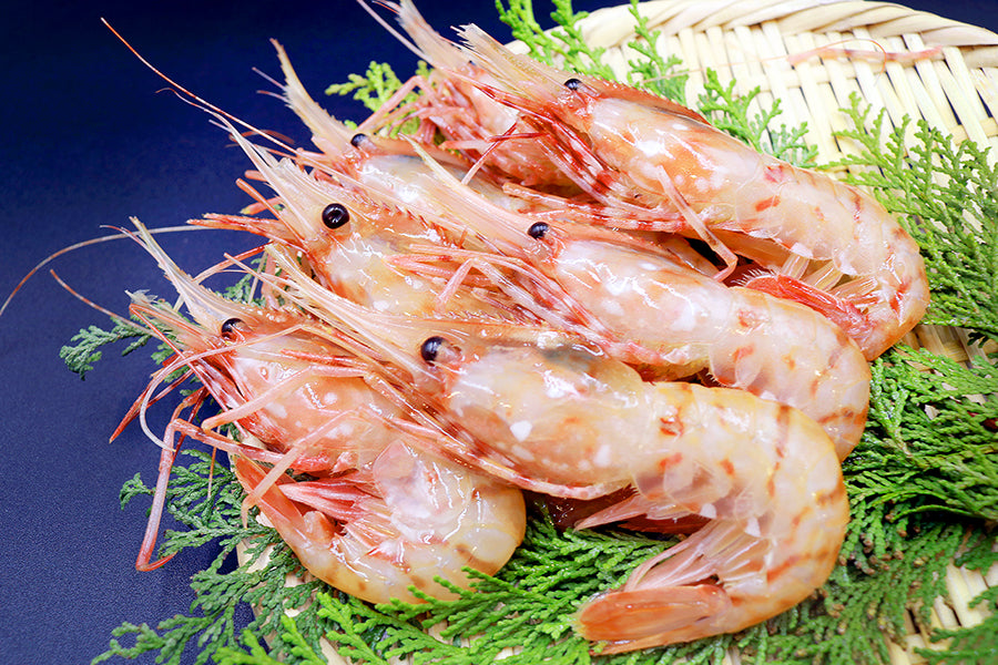 Botan shrimp 500g x 2 packs 28 to 32 fish [Also great as a gift! ]